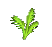 Smiley gratuit plante 184914