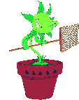 Smiley gratuit plante 184884