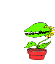 Smiley gratuit plante 184858