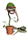 plant emoticon 184875
