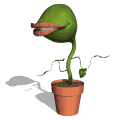 Smiley gratuit plante 184904