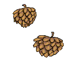 Smiley gratuit plante 184867
