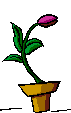 plant emoticon 184881