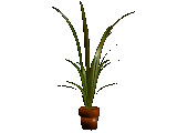Smiley gratuit plante 184893