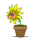 Smiley gratuit plante 184871