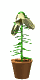 plant emoticon 184908