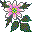 Smiley plantes n�11 