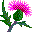 Smiley plantes n�27 