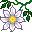 Smiley plantes n�28 