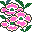 Smiley plantes n�30 