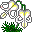 Smiley plantes n�38 