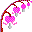 Smiley plantes n�39 