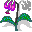 Smiley plantes n�41 