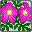 Smiley plantes n�45 