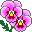 Smiley plantes n�51 