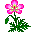 Smiley plantes n�55 