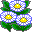 Smiley plantes n�57 