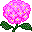 Smiley plantes n�63 