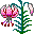 Smiley plantes n�73 