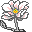 Smiley plantes n�75 