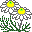 Smiley plantes n�80 