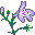 Smiley plantes n�81 