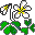 Smiley plantes n�89 