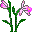 Smiley plantes n�96 