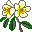 Smiley plantes n�104 