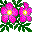 Smiley plantes n�106 