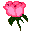 Smiley plantes n�107 