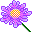 Smiley plantes n�113 
