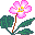 Smiley plantes n�115 
