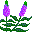 Smiley plantes n�159 