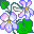 Smiley plantes n�162 