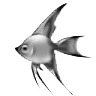 Smiley gratuit poisson 138921