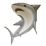 Libre smiley pescado 138904