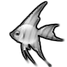 Smiley gratuit poisson 138929