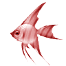 Smiley gratuit poisson 138925