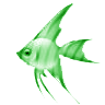 Libre smiley pescado 138879