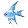Libre smiley pescado 138891