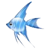 fish emoticon No138891