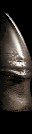 Smiley gratuitamente straniero 131349