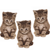 Emoticons gratis gatto n133785