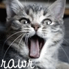 Emoticon Free gato 133833