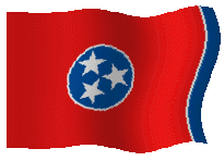 Kostenloses Emoticon Flags 150745