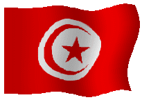 Kostenloses Emoticon Flags 149964