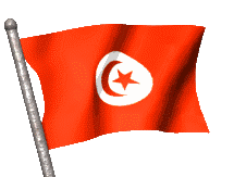 Kostenloses Emoticon Flags 150118