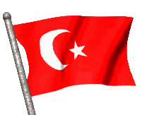 Kostenloses Emoticon Flags 150163