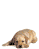 Emoticon Free Meninas 190383